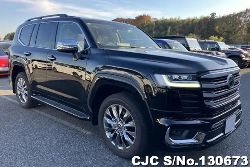 Toyota / Land Cruiser 2024