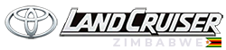 logo dark